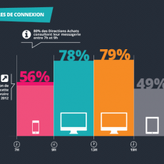 Source : infographie SNCD Email Marketing Attitude B2B 2013
