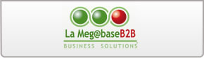 Megabase b2b