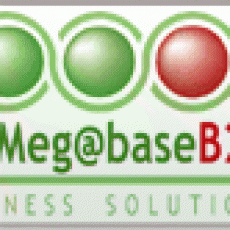 Megabase