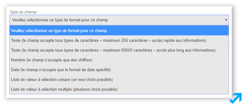 Capture d'écran de l'application Sendethic représentant divers types de champs